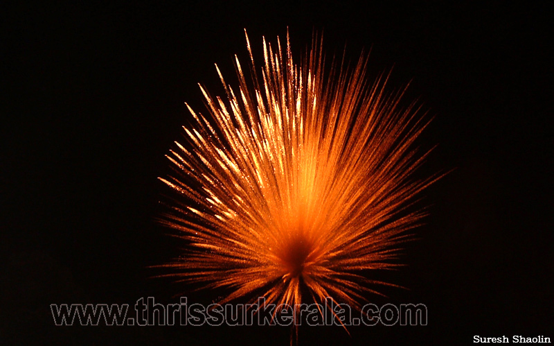 thrissur-pooram-2011- (129)